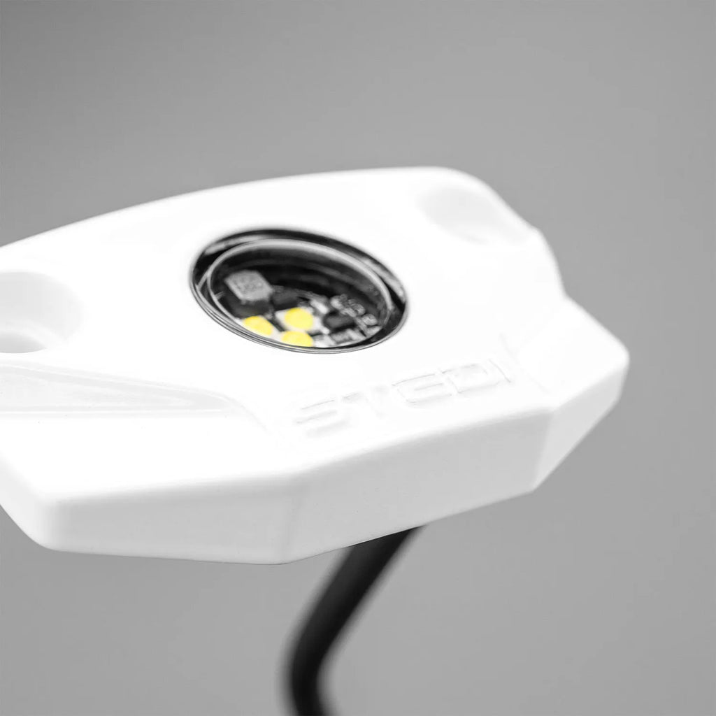 STEDI Surface White Marine Rock Light, cool white (1 pc.)