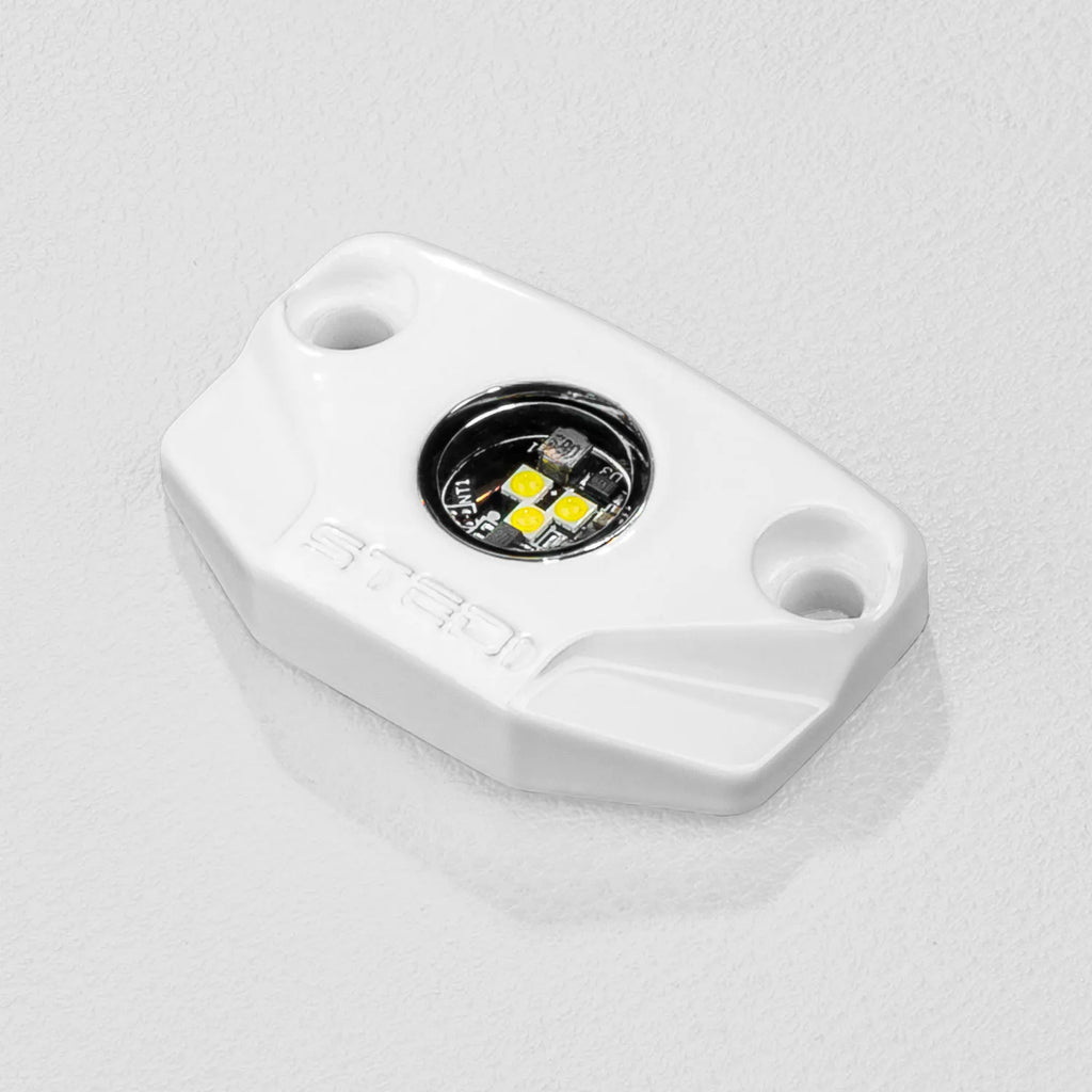 STEDI Surface White Marine Rock Light, cool white (1 pc.)