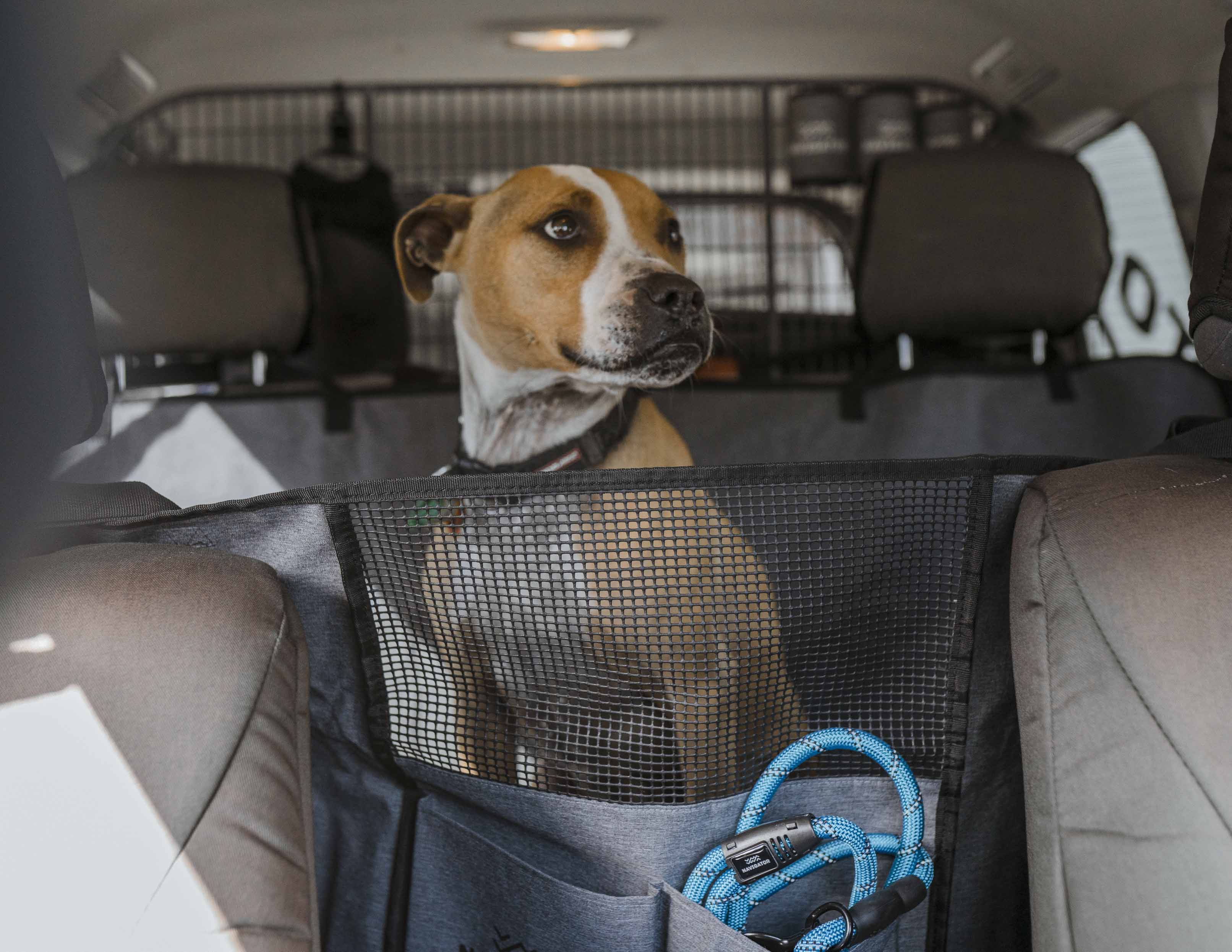 Navigator -  Sitzauflage "Dog Seat Buddy"