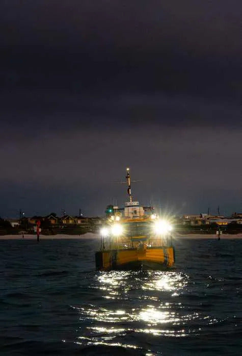 STEDI G2 Marine FLOOD Work Light