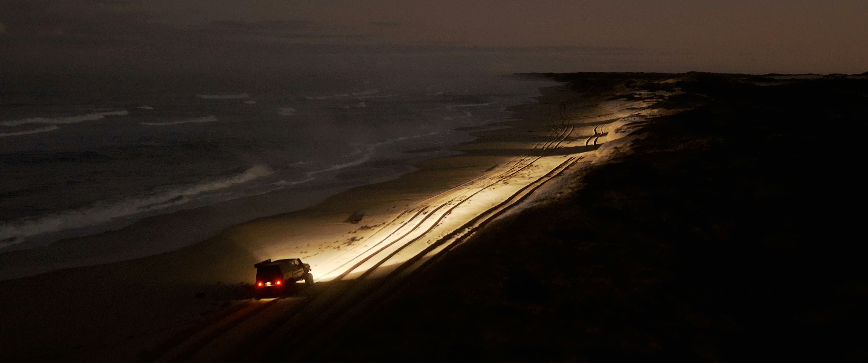 STEDI TYPE-X Pro Plus / Team 4WD 24/7 Shauno (2 pcs.)