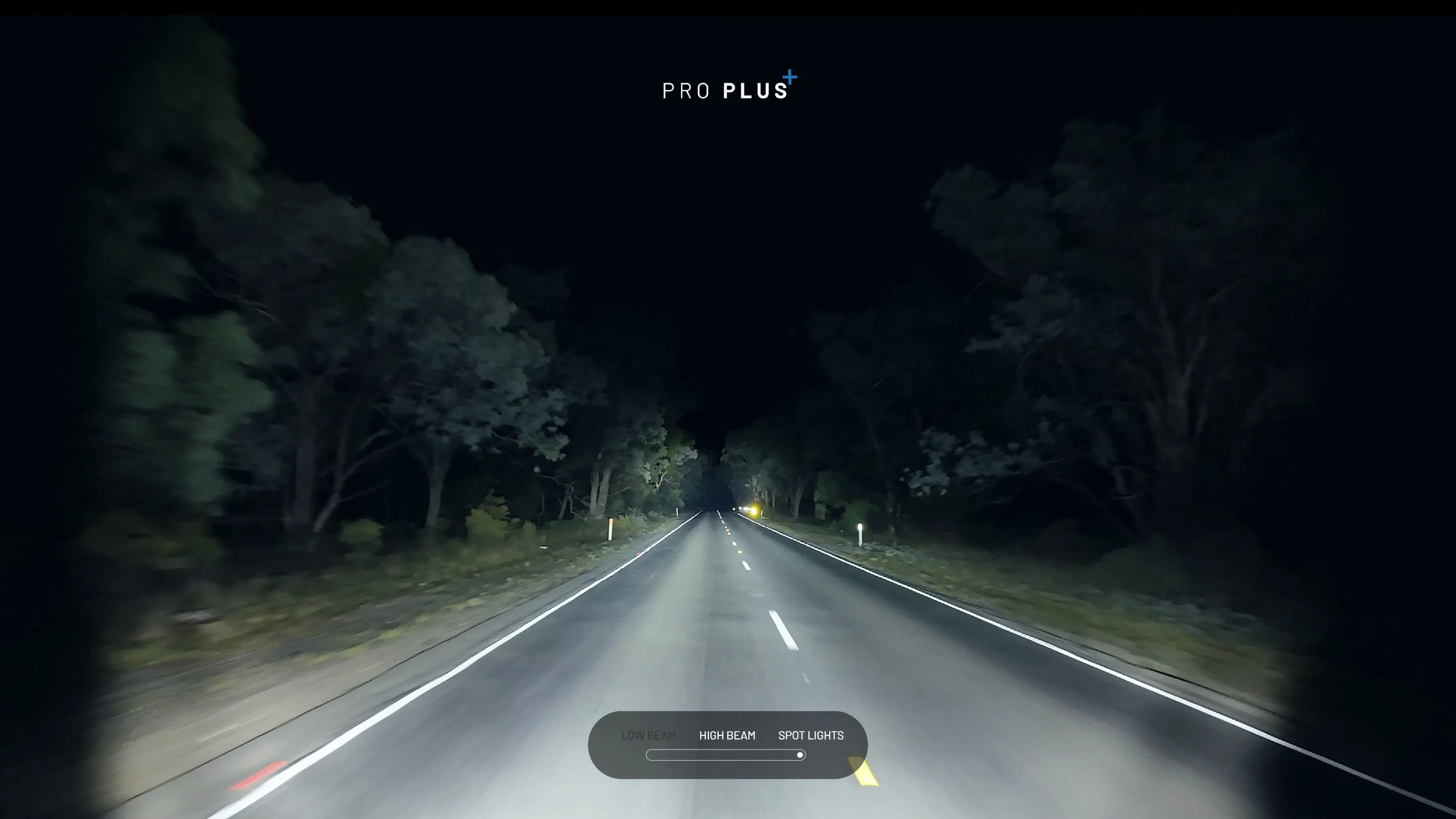 STEDI Type-X™ Pro Plus 7" (mit DRL) Käfig (2 Stk.)