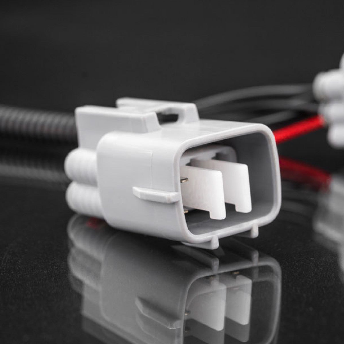 STEDI Isuzu D-Max/M-ux Fernlicht Adapter - German Pickup Customs