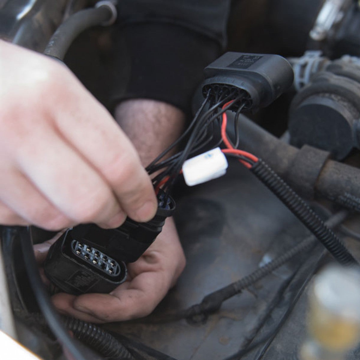 STEDI VW Amarok Fernlicht Adapter - German Pickup Customs